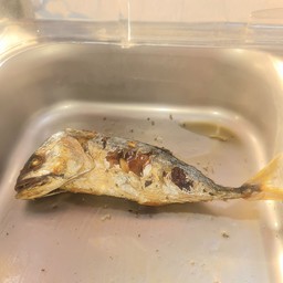 ปลาทูทอด/L