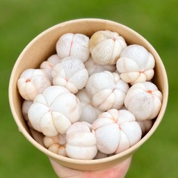 มังคุดแกะพร้อมทาน