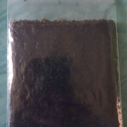 แซลม่อนขี้เมา บ้านกอก