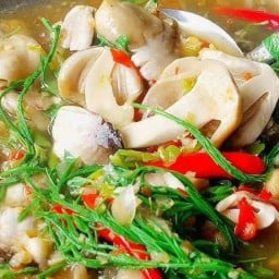 กระเพราบ้านพ่อ อาหารจานเดียว