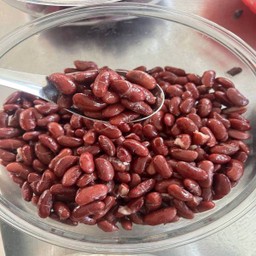 ถั่วแดง