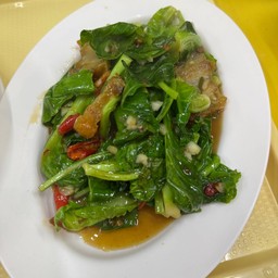 ผักแขนง