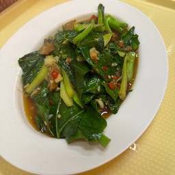 ผัดผักคะน้า