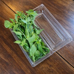 ใบแมลงลัก