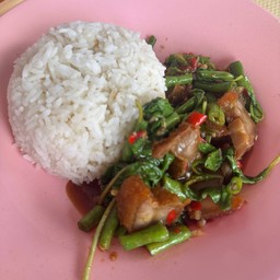 ผัดกะเพราราดข้าว