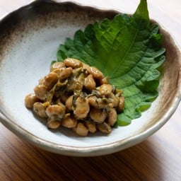 Oba natto