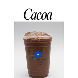 Cocoa