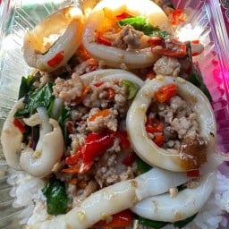 Mr.Krapho มิสเตอร์กะเพรา-จอหอ