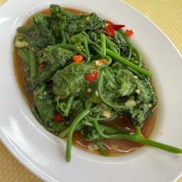 ผัดยอดฝักแม้ว