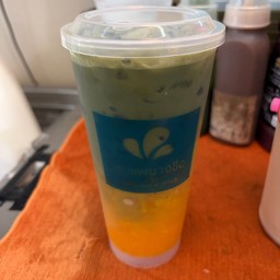 มัทฉะน้ำส้ม