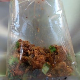 ส้มตำพ่วงข้าง