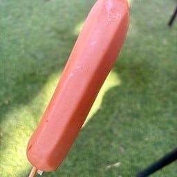 หนังกรอบ