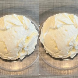 Daisy Original 2 scoop
