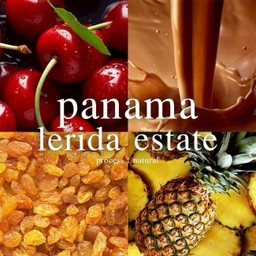 Panama Lerida Estate