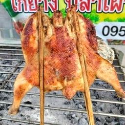 ตำมะกอกแปดริ้ว