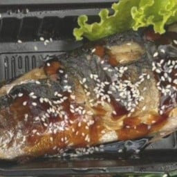 เทริยากิ (นาโกย่า)