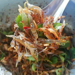 KD73 กุ้งเต้นโคโยตี้ 150 กรัม Dancing shrimp 150g Spicy Salad