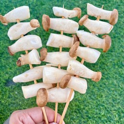 เห็ดออริจิ