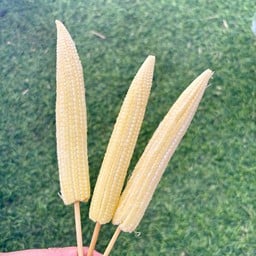 ข้าวโพ๊ดดดด