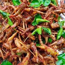 ตั๊กแตน   ทอด !!!!!