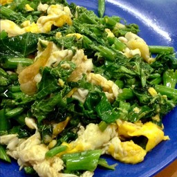 ยอดมะระผัดไข่ (ซาโยเต้)