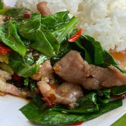 /KD29 ผัดคะน้า 50 กรัม+หมูชิ้น 50 กรัม ราดข้าว ฟรีน้ำซุป/ตามสั่ง