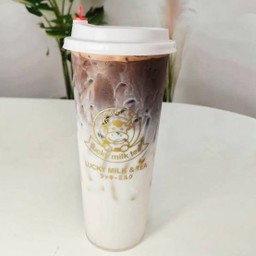 โกโก้ลาเต้