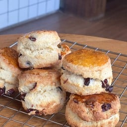 Cranberry Scone