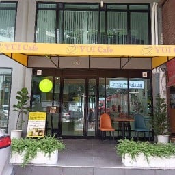 ไพรมารี่ ไพรมารี่