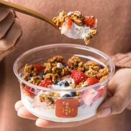 Yogurt Culture Nirvana Porch