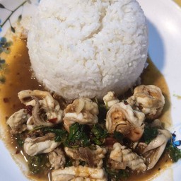 กระเพราทะเล