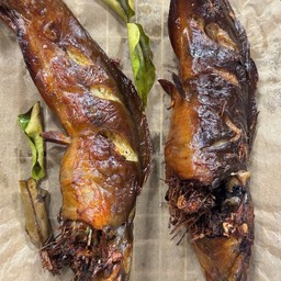 ปลาดุกย่าง