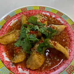 ปลาเก๋าราดพริก(ชาม)