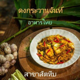 ดงกระวานจันท์ สัตหีบ