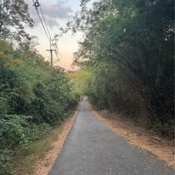 เขาฉลาก