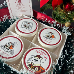 SantaCat is Coming to Town