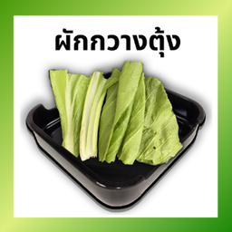 ผักกวางตุ้ง LM