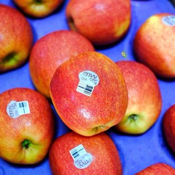 แอปเปิ้ลเอ็นวี่ U.S.A (ลูกใหญ่)