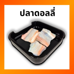 ปลาดอลลี่ LM