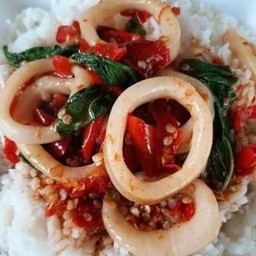 ข้าวราดกระเพราปลาหมึก