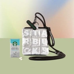 Metallic Pouch Bag-Sliver Color with Classic Mints.