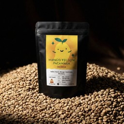 [YELLOW PACAMARA] COLOMBIA  -MANGO  - washed