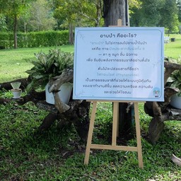 อิ่มเอมฮัท อิ่มเอมฮัท