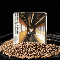 [SIDRA] ECUADOR - HACIENDA LA PAPAYA - washed