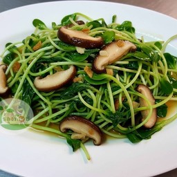 ยอดอ่อนทานตะวันผัดน้ำมันหอย