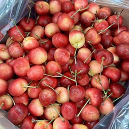 เชอรี่ทอง 2-2.2 กก./กล่อง