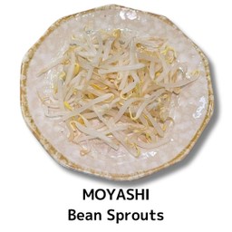 T.Moyashi