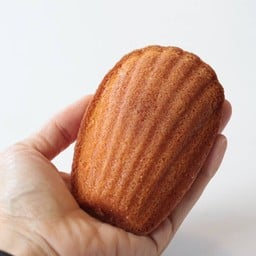 madeleine - lemon