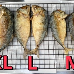 ปลาทูทอดใหญ่จัมโบ้XL 1 ตัว