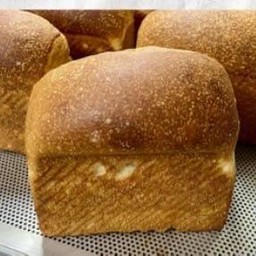 Sourdough  Sandwich